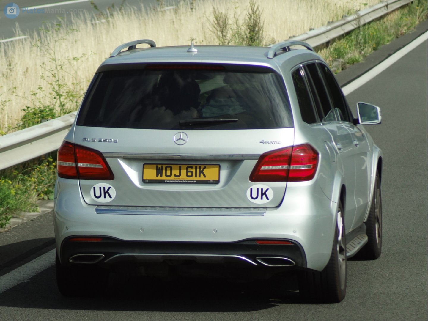 WOJ61K, Mercedes-Benz GLS-Klasse 1st gen (X166), 2016–2019