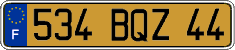 French license plate, FNI
