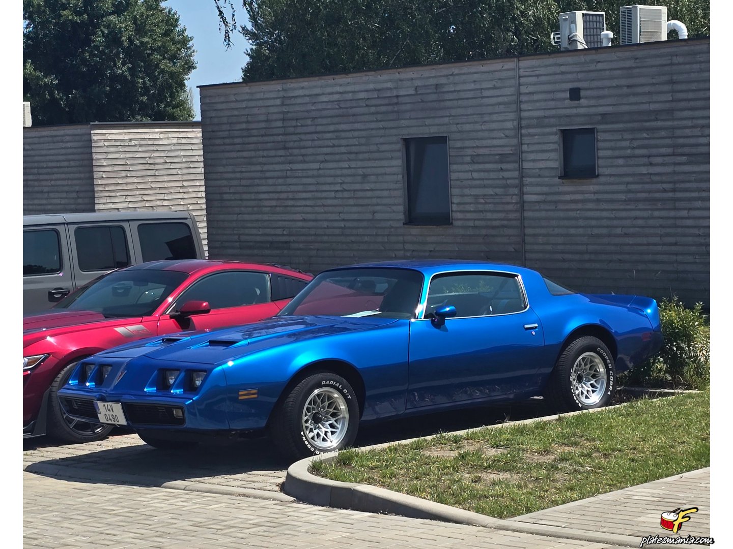 14V 0490, Pontiac Firebird 2nd gen Coupé (87; F-body), 3rd facelift, 1978–1981