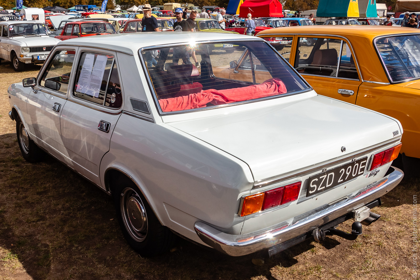 SZD 290E, Polski Fiat 132p 