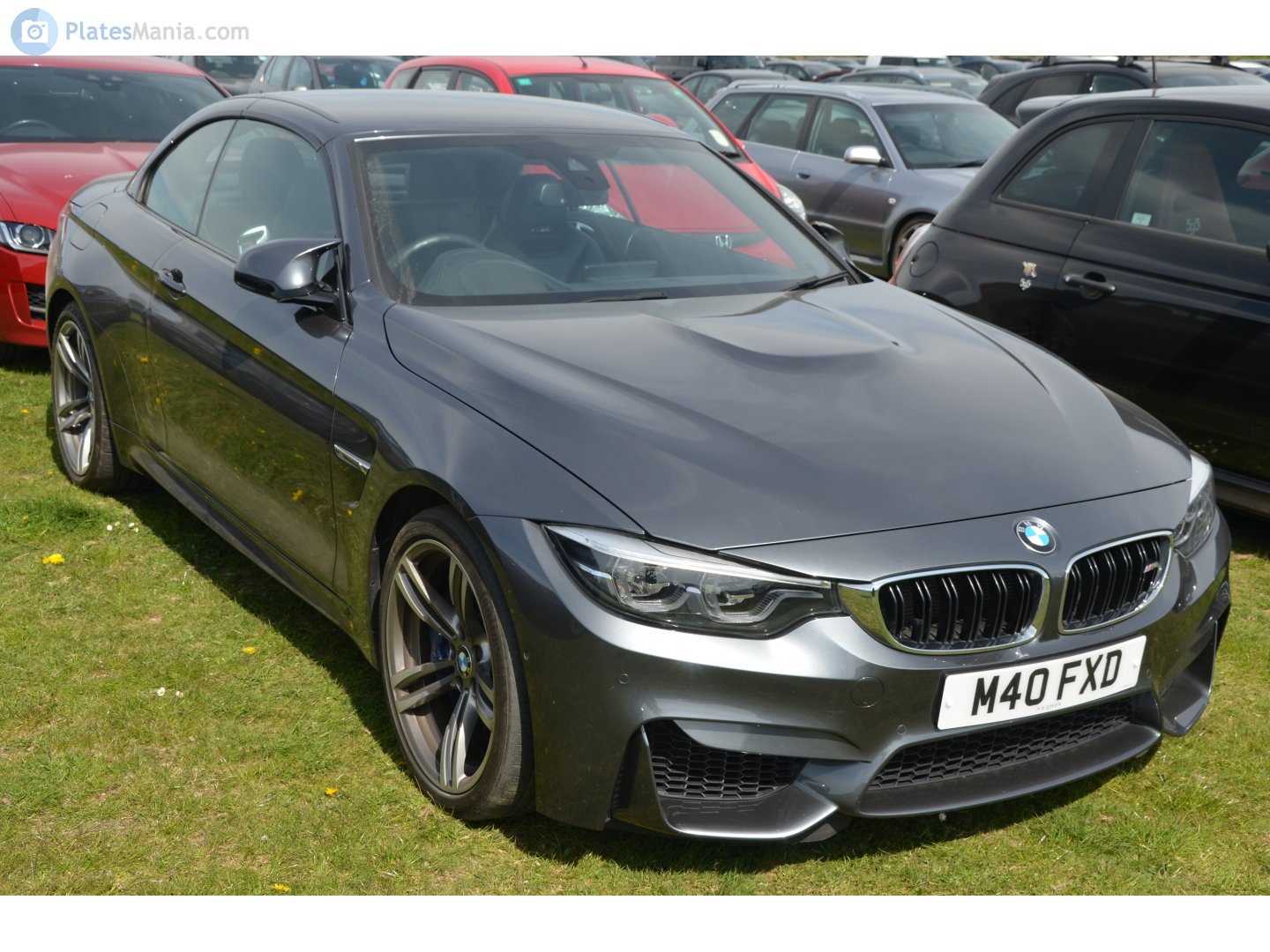 M40FXD, BMW M4 1st gen Cabrio (F83), 2014–2020