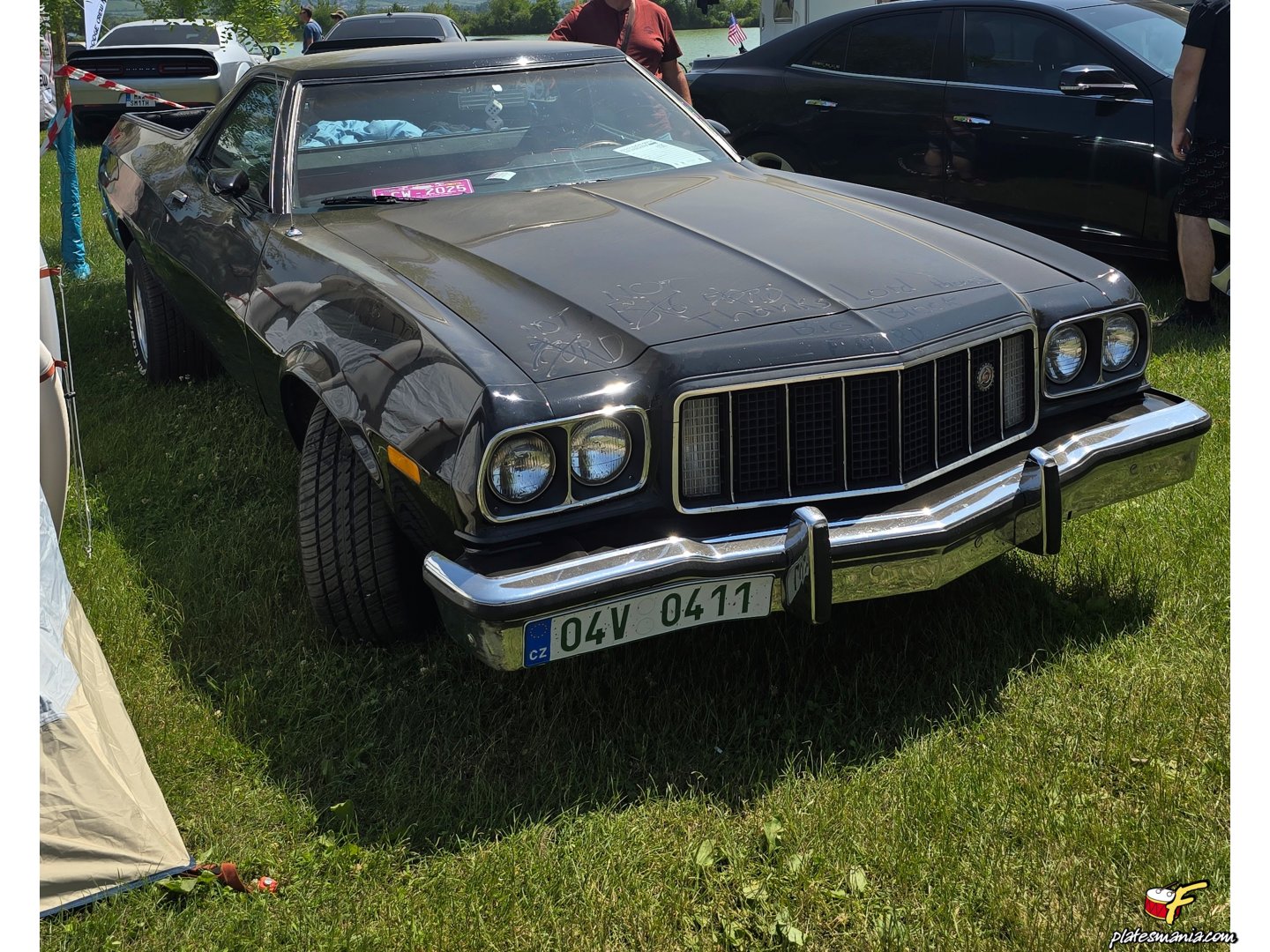 04V 0411, Ford Ranchero 6th gen (97), 2nd facelift, 1973–1976