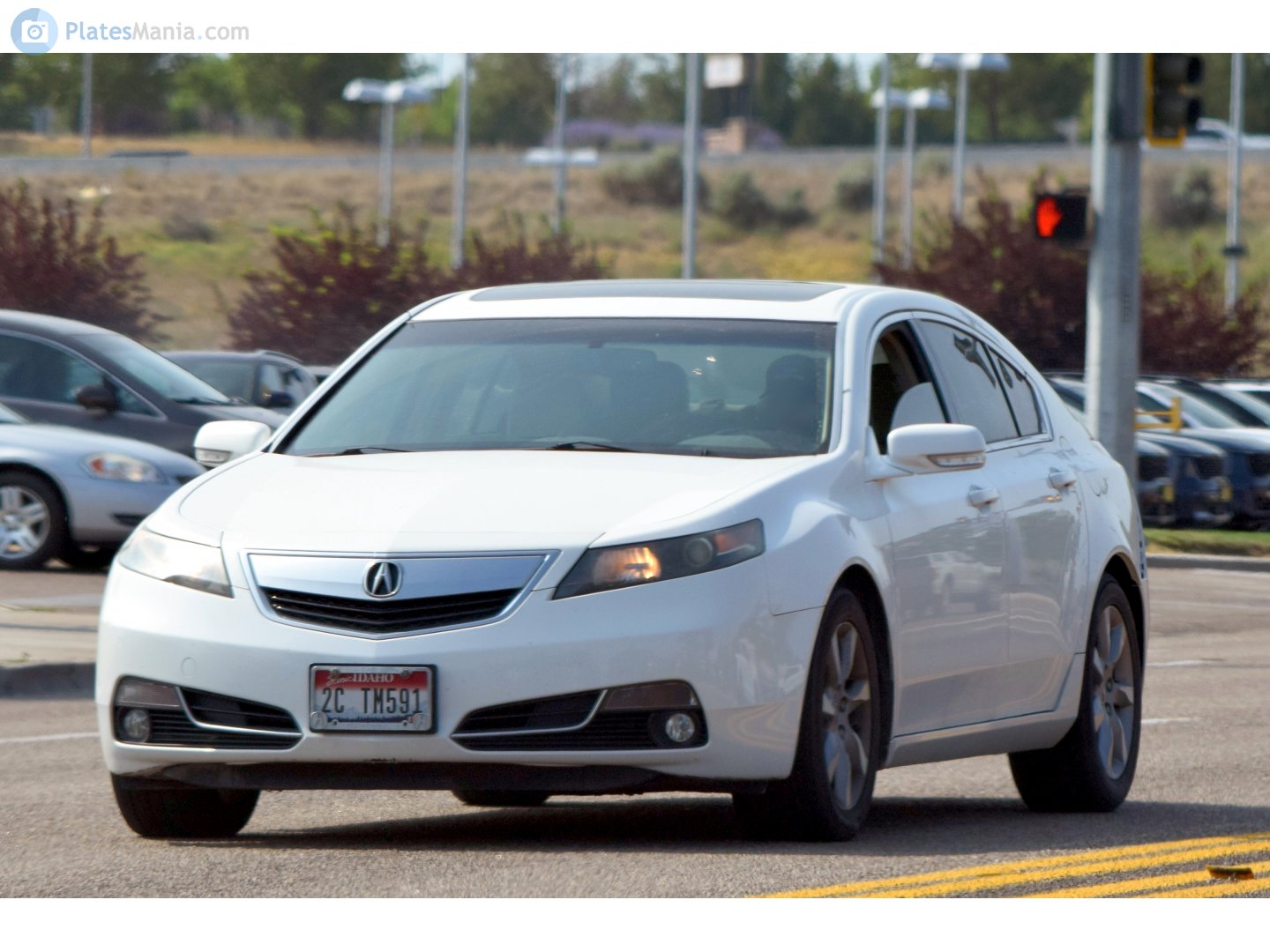 2C TM591, Acura TL 4th gen (UA8/UA9), 2008–2014