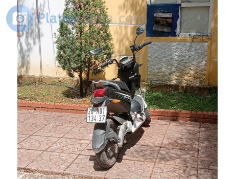 26-MĐ1 134.37, VinFast Impes