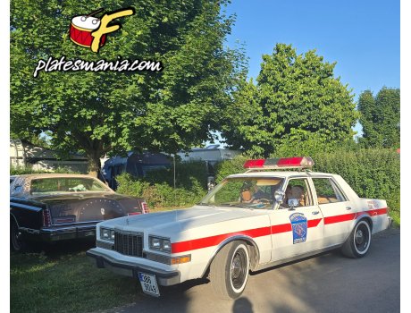 3B6 9049, Dodge Diplomat