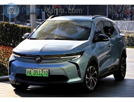 沪A·DS1210, Buick Velite