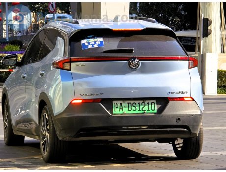 沪A·DS1210, Buick Velite