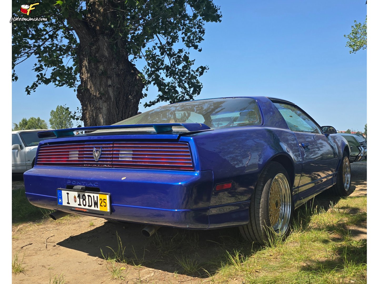 I 18DW, Pontiac Firebird 3rd gen Coupé (87; F-body), 1981–1990