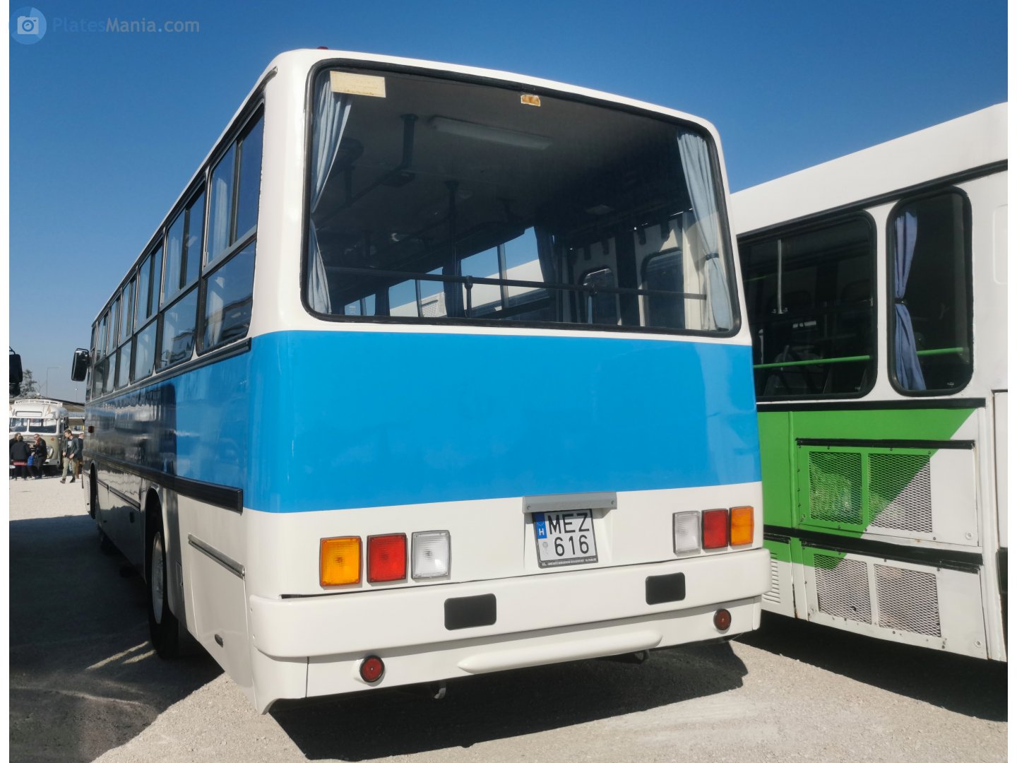 MEZ-616, Ikarus 260 