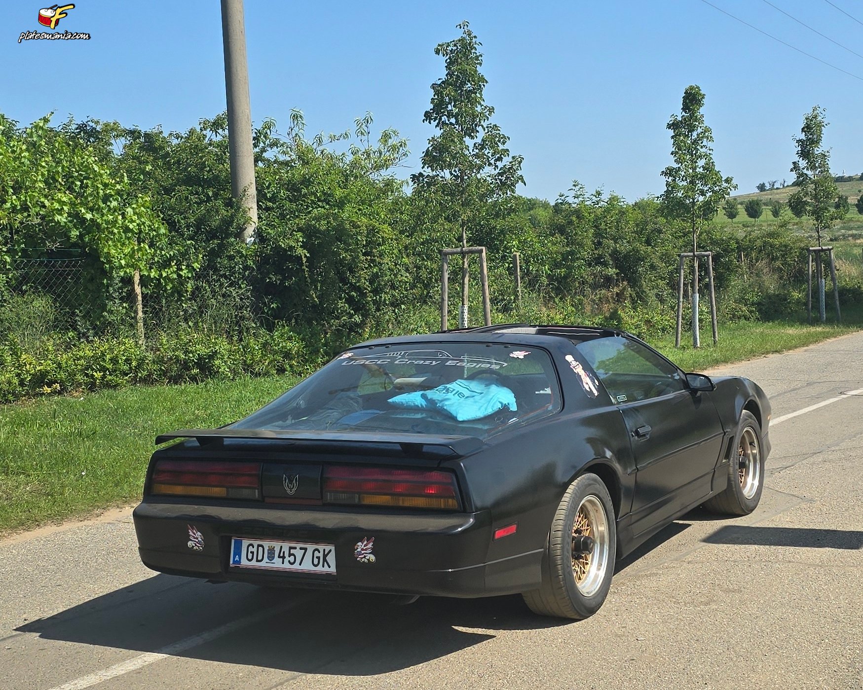 GD 457 GK, Pontiac Firebird 3rd gen Targa (87; F-body), 1981–1990