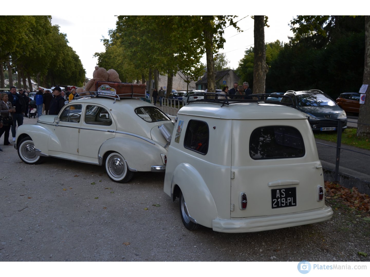 AS-219-PL, Peugeot 203 Familiale, 1950–1954