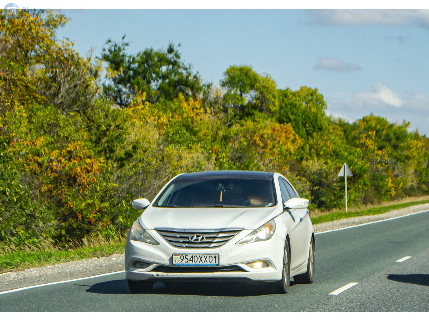 9540XX01, Hyundai Sonata 6th gen (YF), 2009–2015