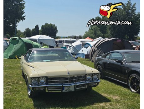 12V 0886, Buick Electra