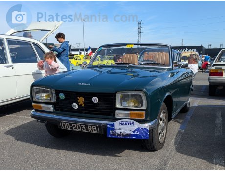 DQ-203-RB, Peugeot 304