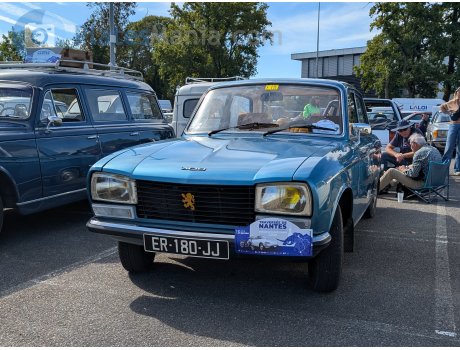 ER-180-JJ, Peugeot 304