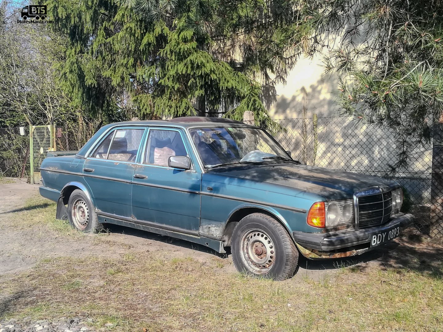 BDY 0893, Mercedes-Benz E-Klasse 200–300 Sedan (W123), 1975­–1986