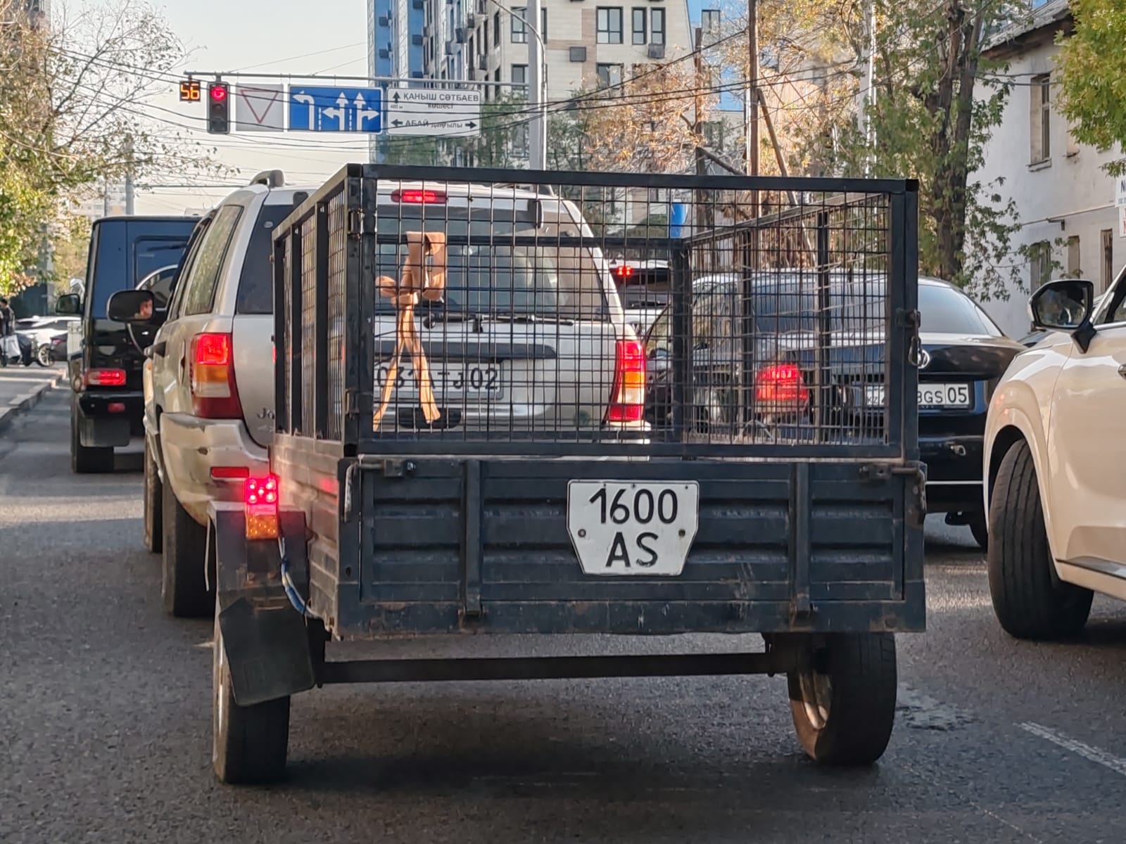 1600 AS, Kurganmashzavod (KMZ) 8136 