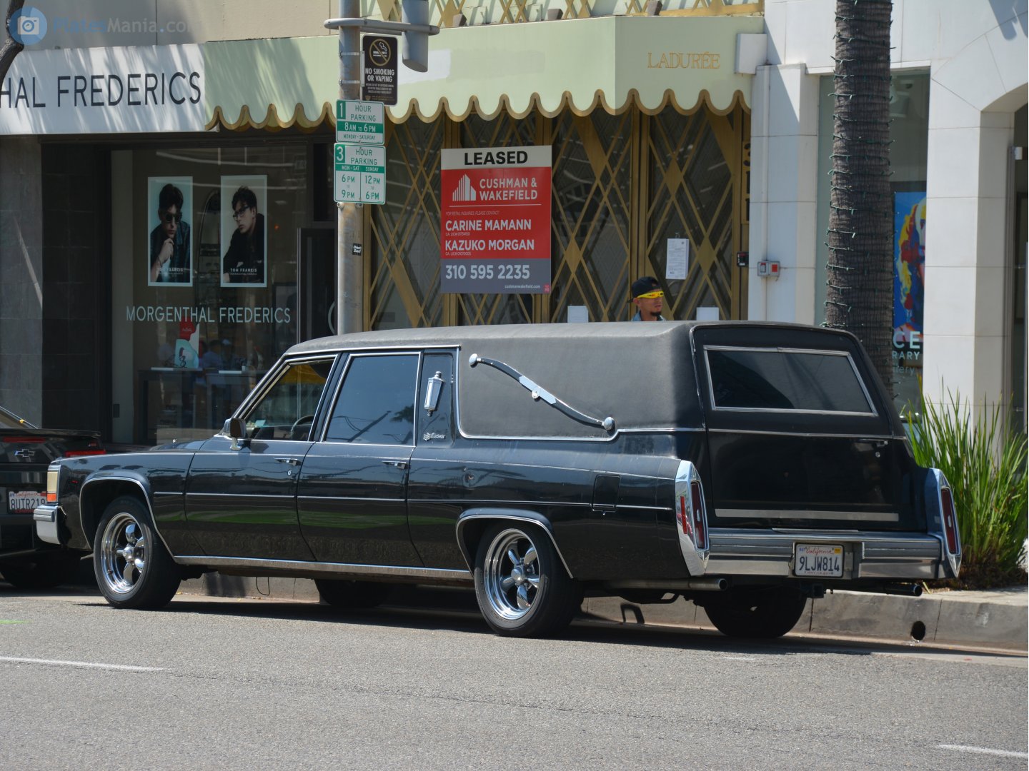 9LJW814, Cadillac Fleetwood 1st gen Hearse (C-body), 1984–1992