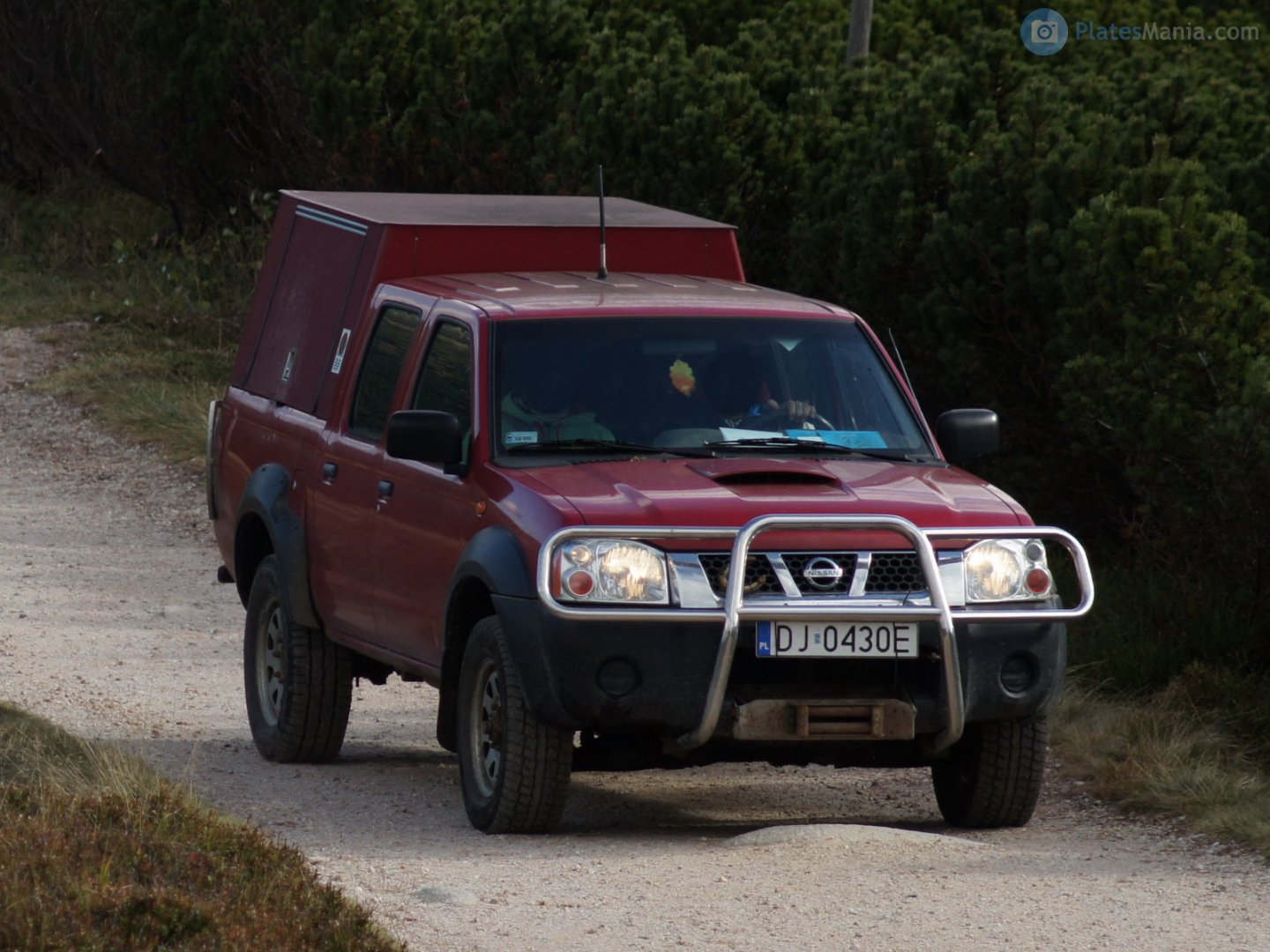 DJ 0430E, Nissan Pickup 3rd gen (D22), facelift, 2005–2015
