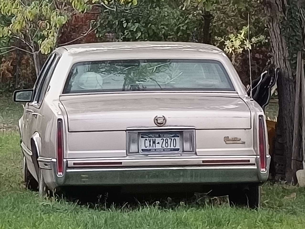 CXM-2870, Cadillac Fleetwood 1st gen Sedan (69; C-body), 1984–1992