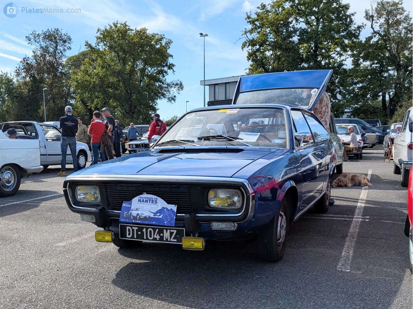 DT-104-MZ, Renault 15 1st gen (130), 1971–1980