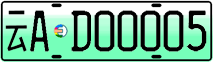 License plate of China, Electric vehicles