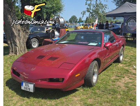 6B4 0878, Pontiac Firebird