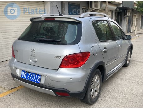 晋M·ZZ018, Peugeot 307