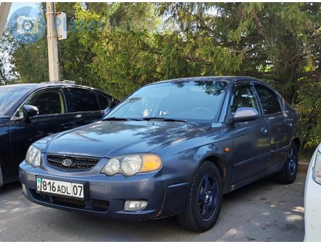 816 ADL 07, Kia Shuma