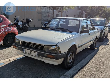 DL-289-TG, Peugeot 505
