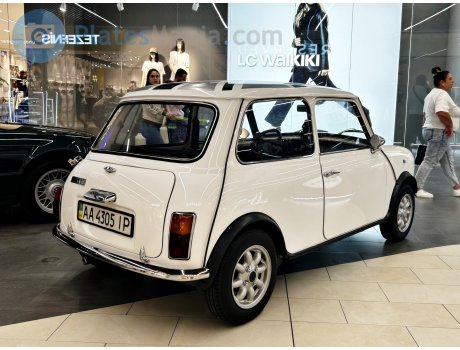 AA 4305 IP, Morris Mini