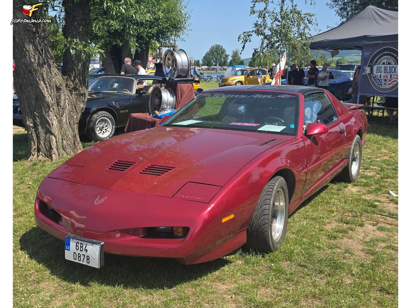 6B4 0878, Pontiac Firebird 3rd gen Targa (FW2/87; F-body), facelift, 1990–1992