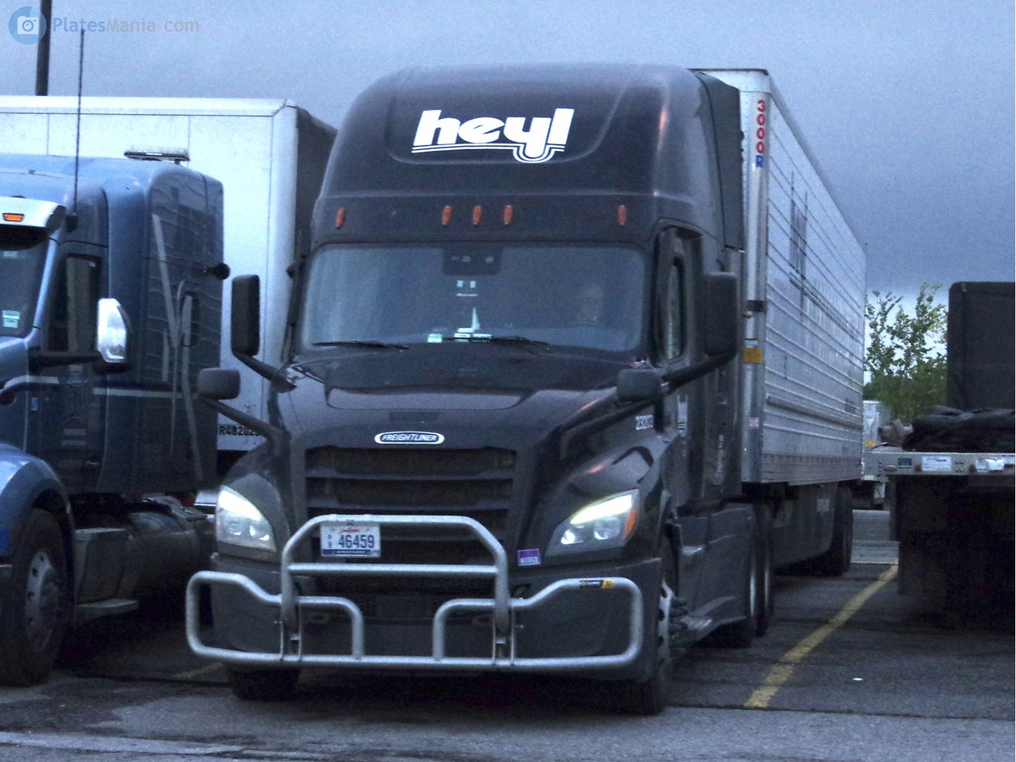 P/R 46459, Freightliner Cascadia 3rd/4th gen New Cascadia (2017–)