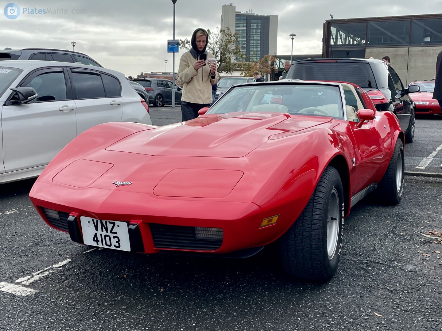 VNZ4103, Chevrolet Corvette 3rd gen Coupé (C3; 1YZ/1YY), 3rd facelift, 1979–1982