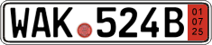 German license plate, Export transit plates
