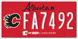 Alberta, Calgary Flames (FA1234)