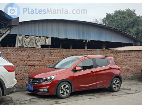 川K·RT920, Baojun 310