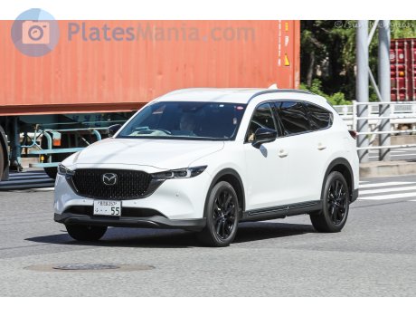 鹿児島 357 ふ 55, Mazda CX-8