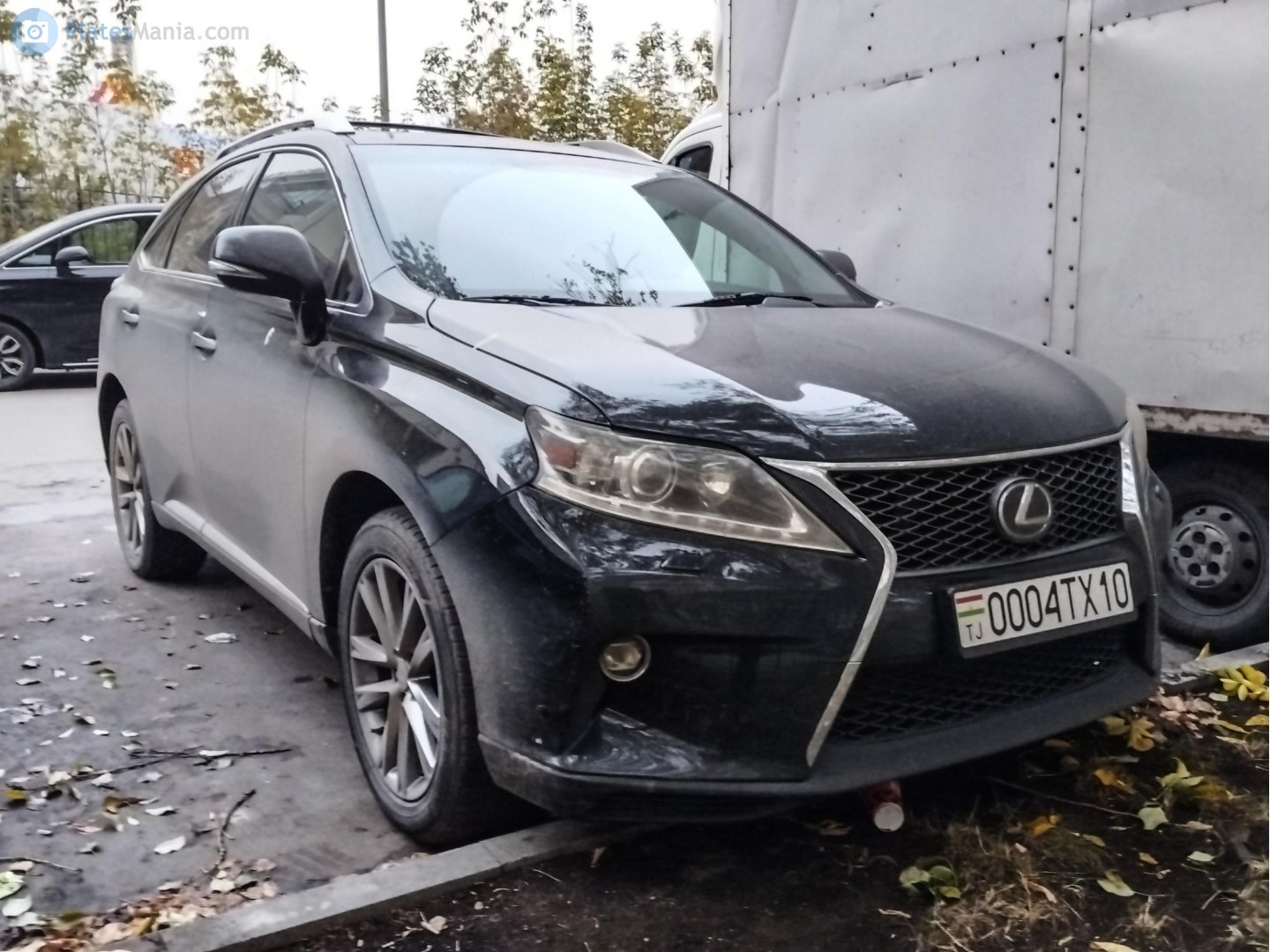 0004TX10, Lexus RX 3rd gen (AL10), 2008–2012