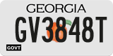 Georgia, Government (GV1234X)