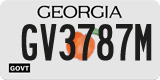 Georgia, Government (GV1234X)