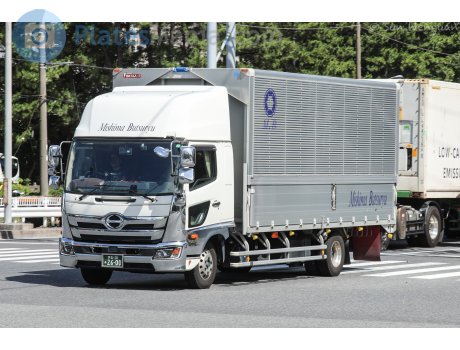 伊豆 130 あ 2600, Hino Ranger