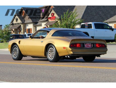 QLE-503, Pontiac Firebird