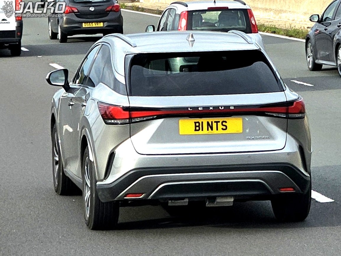 B1NTS, Lexus RX 5th gen (AL30), 2022–