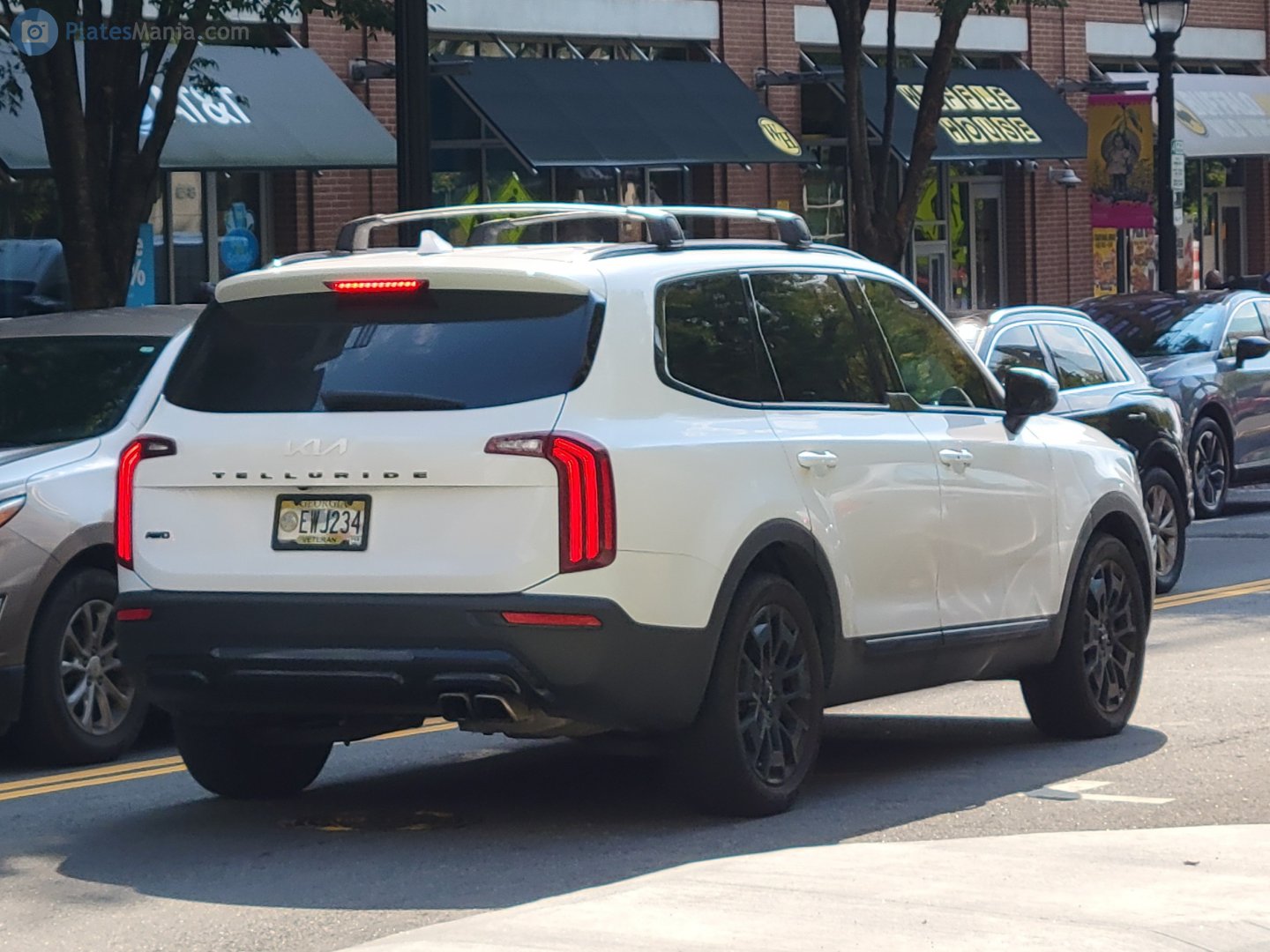EWJ234, Kia Telluride 1st gen (ON), 2019–2022