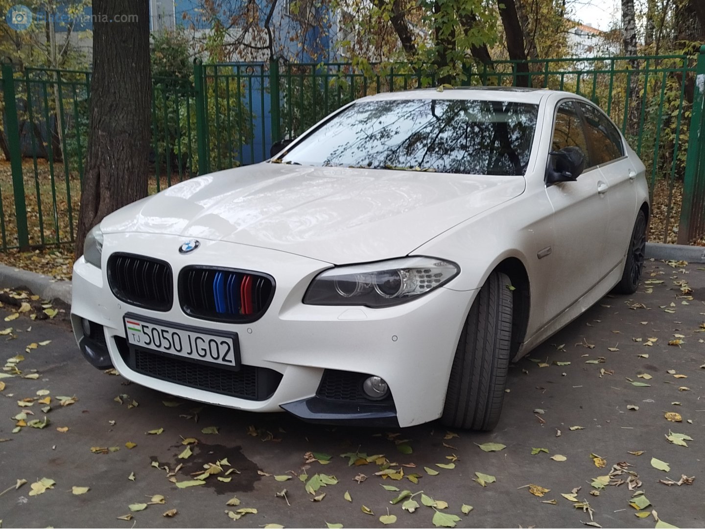 5050JG02, BMW 5 Series 6th gen Sedan (F10/F18), 2010–2017