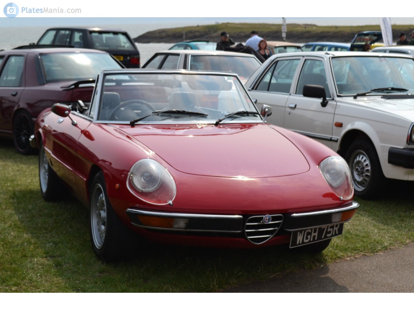 WGH75R, Alfa Romeo Spider 2nd gen, 1969–1982