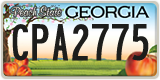 Georgia, ABC 1234