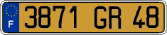 French license plate, FNI
