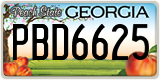 Georgia, ABC 1234